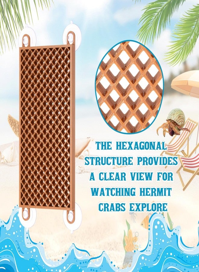 لعبة تسلق على شكل سلم لسرطان البحر الناسك من ساني موف، إكسسوارات لسرطان البحر الناسك، زينة لحوض الببغاء والسحلية والحرباء والزواحف - Image 3